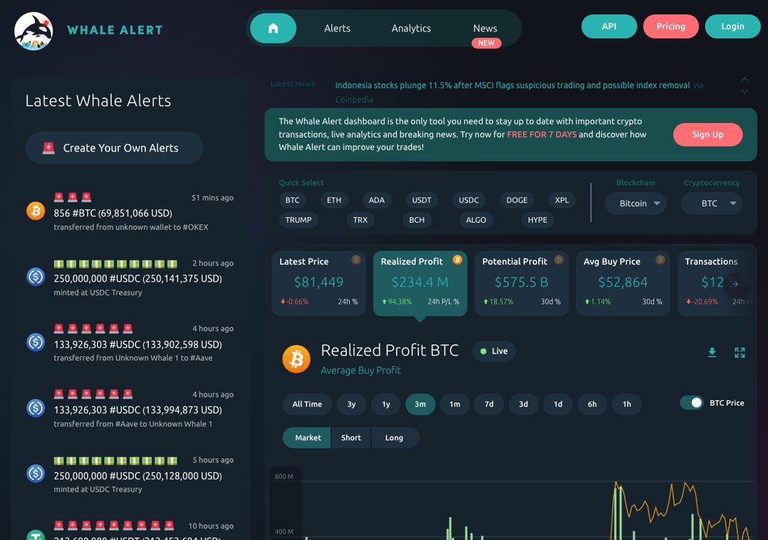 Whale Alert's website, 16 October 2026